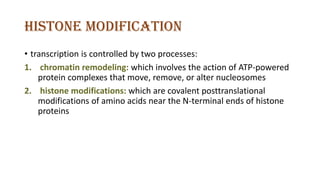 Histone modification
• transcription is controlled by two processes:
1. chromatin remodeling: which involves the action of ATP-powered
protein complexes that move, remove, or alter nucleosomes
2. histone modifications: which are covalent posttranslational
modifications of amino acids near the N-terminal ends of histone
proteins
 