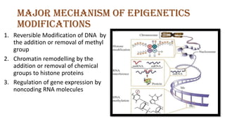 Epigenetics.pdf