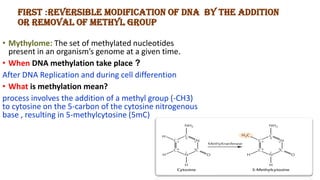 First :Reversible Modification of DNA by the addition
or removal of methyl group
• Mythylome: The set of methylated nucleotides
present in an organism’s genome at a given time.
• When DNA methylation take place ?
After DNA Replication and during cell differention
• What is methylation mean?
process involves the addition of a methyl group (-CH3)
to cytosine on the 5-carbon of the cytosine nitrogenous
base , resulting in 5-methylcytosine (5mC)
 