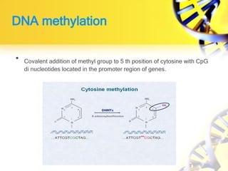 DNA methylation
• Covalent addition of methyl group to 5 th position of cytosine with CpG
di nucleotides located in the promoter region of genes.
 