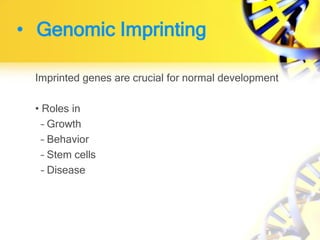 Imprinted genes are crucial for normal development
• Roles in
– Growth
– Behavior
– Stem cells
– Disease
• Genomic Imprinting
 