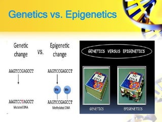 Genetics vs. Epigenetics
 
