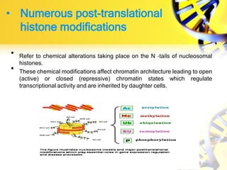 • Numerous post-translational
histone modifications
• Refer to chemical alterations taking place on the N -tails of nucleosomal
histones.
• These chemical modifications affect chromatin architecture leading to open
(active) or closed (repressive) chromatin states which regulate
transcriptional activity and are inherited by daughter cells.
 