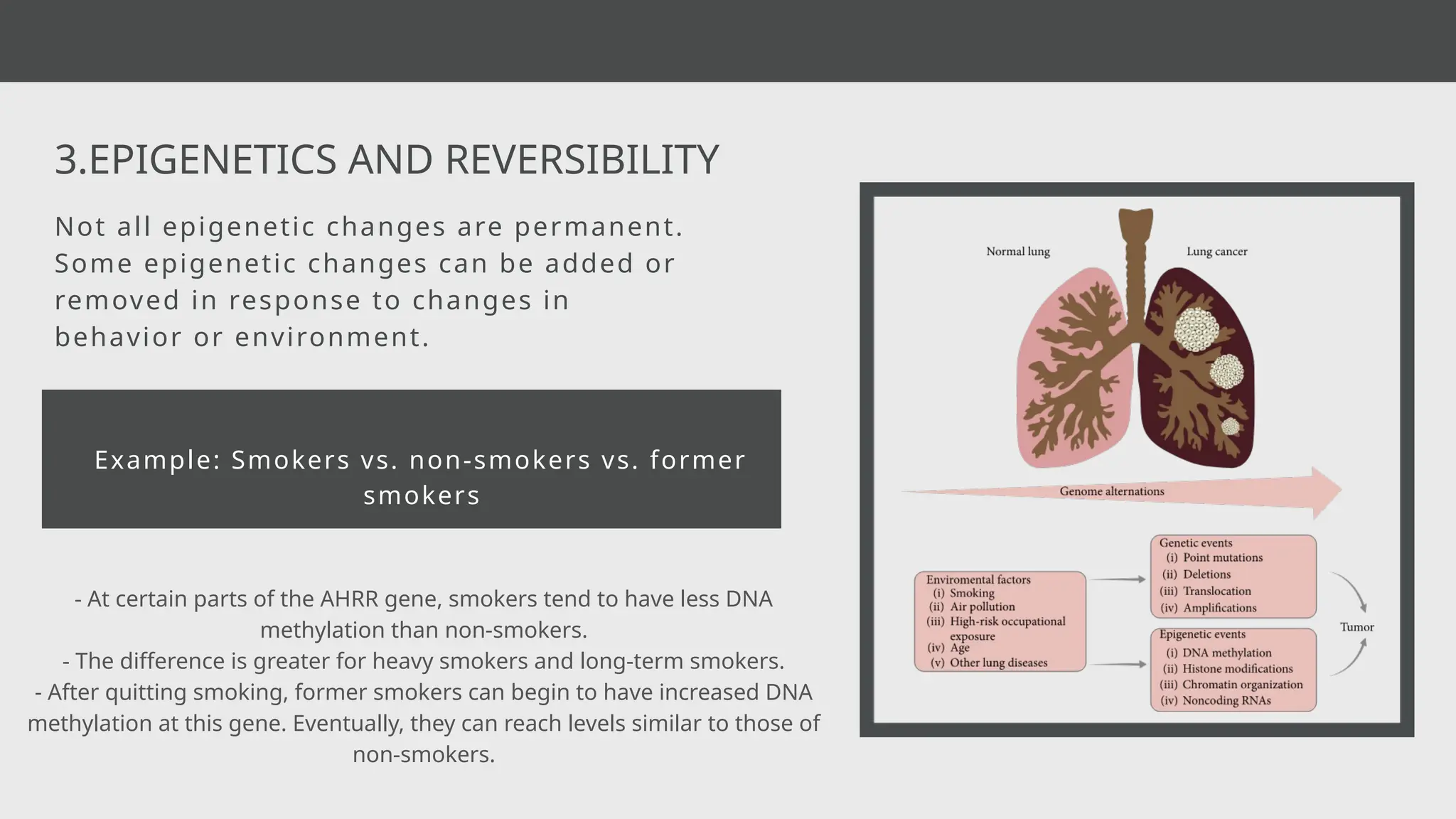 Example: Smokers vs. non-smokers vs. former
smokers
3.EPIGENETICS AND REVERSIBILITY
Not all epigenetic changes are permanent.
Some epigenetic changes can be added or
removed in response to changes in
behavior or environment.
- At certain parts of the AHRR gene, smokers tend to have less DNA
methylation than non-smokers.
- The difference is greater for heavy smokers and long-term smokers.
- After quitting smoking, former smokers can begin to have increased DNA
methylation at this gene. Eventually, they can reach levels similar to those of
non-smokers.
 