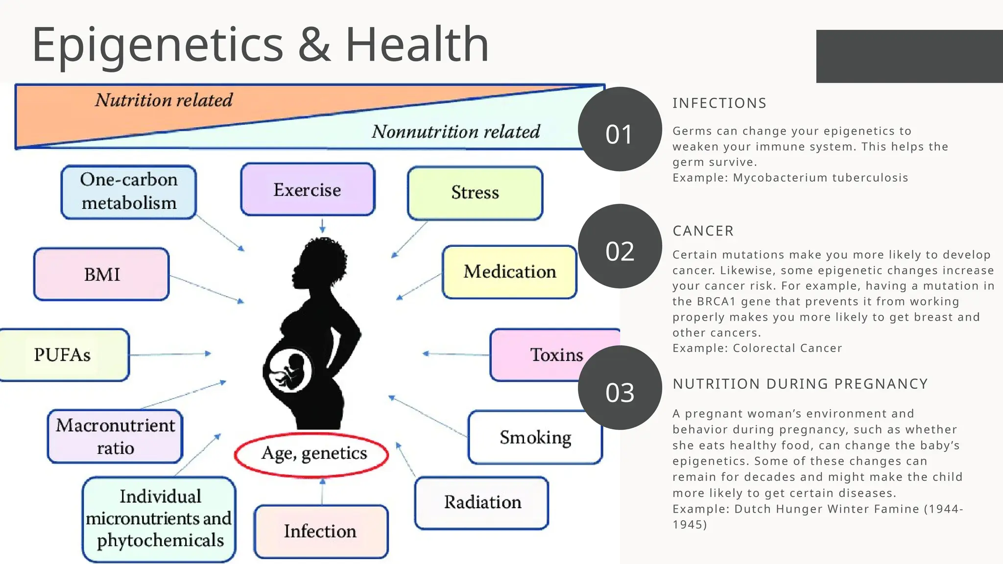Certain mutations make you more likely to develop
cancer. Likewise, some epigenetic changes increase
your cancer risk. For example, having a mutation in
the BRCA1 gene that prevents it from working
properly makes you more likely to get breast and
other cancers.
Example: Colorectal Cancer
CANCER
A pregnant woman’s environment and
behavior during pregnancy, such as whether
she eats healthy food, can change the baby’s
epigenetics. Some of these changes can
remain for decades and might make the child
more likely to get certain diseases.
Example: Dutch Hunger Winter Famine (1944-
1945)
NUTRITION DURING PREGNANCY
Germs can change your epigenetics to
weaken your immune system. This helps the
germ survive.
Example: Mycobacterium tuberculosis
INFECTIONS
01
02
03
Epigenetics & Health
 