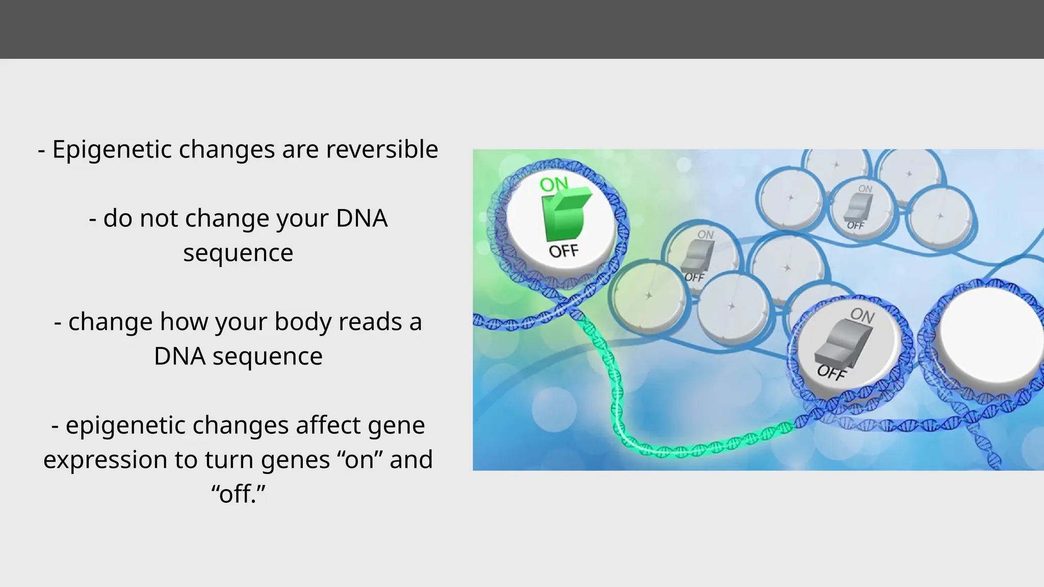 - Epigenetic changes are reversible
- do not change your DNA
sequence
- change how your body reads a
DNA sequence
- epigenetic changes affect gene
expression to turn genes “on” and
“off.”
 