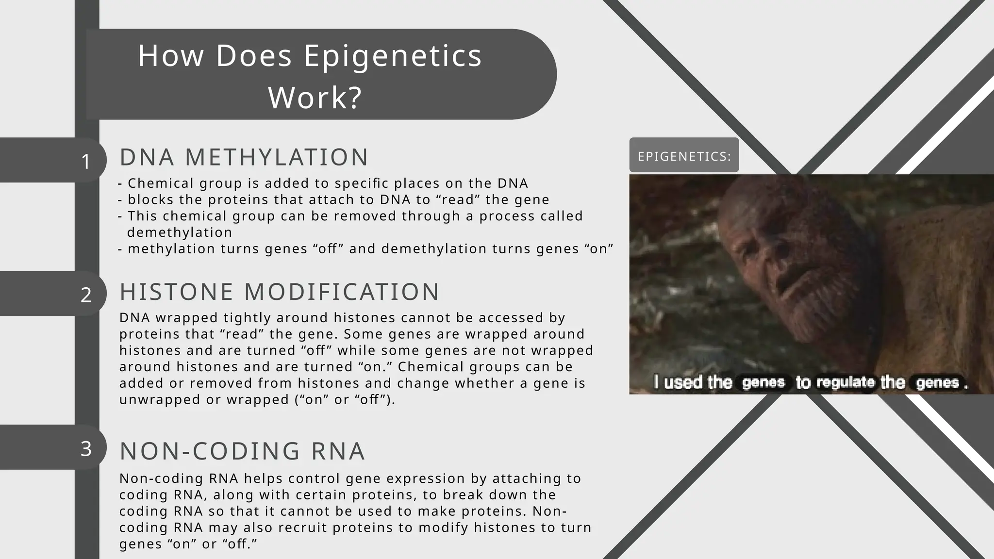 - Chemical group is added to specific places on the DNA
- blocks the proteins that attach to DNA to “read” the gene
- This chemical group can be removed through a process called
demethylation
- methylation turns genes “off ” and demethylation turns genes “on”
DNA wrapped tightly around histones cannot be accessed by
proteins that “read” the gene. Some genes are wrapped around
histones and are turned “off ” while some genes are not wrapped
around histones and are turned “on.” Chemical groups can be
added or removed from histones and change whether a gene is
unwrapped or wrapped (“on” or “off ”).
Non-coding RNA helps control gene expression by attaching to
coding RNA, along with certain proteins, to break down the
coding RNA so that it cannot be used to make proteins. Non-
coding RNA may also recruit proteins to modify histones to turn
genes “on” or “off.”
DNA METHYLATION
1
2
3
HISTONE MODIFICATION
NON-CODING RNA
How Does Epigenetics
Work?
EPIGENETICS:
 
