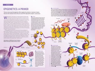 Epigenetics and its role in cancer biology | PPTX