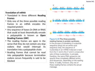 Epigenetics (Protein translation, Genetic Code, Steps involved in ...