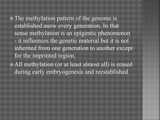  The methylation pattern of the genome is
established anew every generation. In that
sense methylation is an epigentic phenomenon
- it influences the genetic material but it is not
inherited from one generation to another except
for the imprinted region.
 All methylation (or at least almost all) is erased
during early embryogenesis and reestablished
 