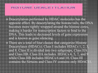  Deacetylation performed by HDAC molecules has the
opposite effect. By deacetylating the histone tails, the DNA
becomes more tightly wrapped around the histone cores,
making it harder for transcription factors to bind to the
DNA. This leads to decreased levels of gene expression
and is known as gene silencing.
 There are a total of four classes that categorize Histone
Deacetylases (HDACs). Class I includes HDACs 1, 2, 3,
and 8. Class II is divided into two subgroups, Class IIA
and Class IIB. Class IIA includes HDACs 4, 5, 7, and 9
while Class IIB includes HDACs 6 and 10. Class III
contains the Sirtuins and Class IV contains only HDAC11.
 