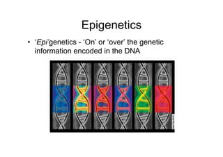 Epigenetics
• ‘Epi’genetics - ‘On’ or ‘over’ the genetic
  information encoded in the DNA
 