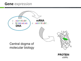 Gene expression
Central dogma of
molecular biology
 
