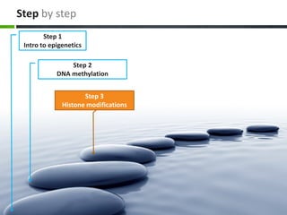 Step by step
Step 1
Intro to epigenetics
Step 2
DNA methylation
Step 3
Histone modifications
 