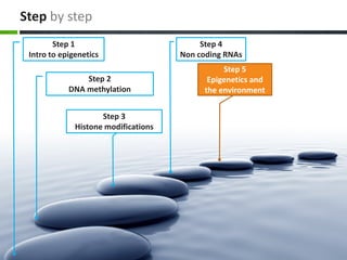 Step by step
Step 1
Intro to epigenetics
Step 2
DNA methylation
Step 3
Histone modifications
Step 4
Non coding RNAs
Step 5
Epigenetics and
the environment
 