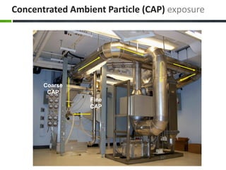 Concentrated Ambient Particle (CAP) exposure
Coarse
CAP
Fine
CAP
 