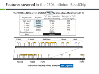 Features covered in the 450k Infinium BeadChip
The 450K BeadChip covers a total of 77,537 CpG Islands and CpG Shores (N+S)
Region Type Regions
CpG sites covered on
450K BeadChip array
Average # of CpG
sites per region
CpG Island 26,153 139,265 5.08
N Shore 25,770 73,508 2.74
S Shore 25,614 71,119 2.66
N Shelf 23,896 49,093 1.97
S Shelf 23,968 48,524 1.94
Remote/Unassigned - 104,926 -
Total 485,553
5’ UTR 3’ UTR
TSS1500 TSS200
N Shelf N Shore S Shore S Shelf
CpG Island
The 450K BeadChip covers a total of 20,617 genes
 