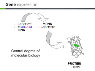 Gene expression
Central dogma of
molecular biology
 