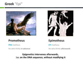 Greek “Epi”
Prometheus
PRO-metheus
He who thinks in advance
Epimetheus
EPI-metheus
He who thinks afterwards
Epigenetics intervenes afterwards,
i.e. on the DNA sequence, without modifying it
 