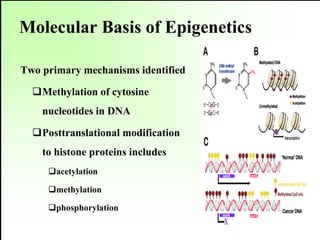 Epigenetics and type 2 diabetes | PDF