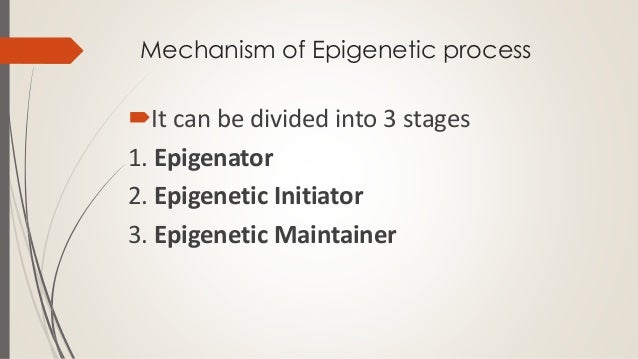 an overview of epigenetics In this review, we will provide an overview of the current state of epigenetics and epigenetic therapy in aml and will describe perspectives on how to identify. an overview of epigenetics In this review, we will provide an overview of the current state of epigenetics and epigenetic therapy in aml and will describe perspectives on how to identify.