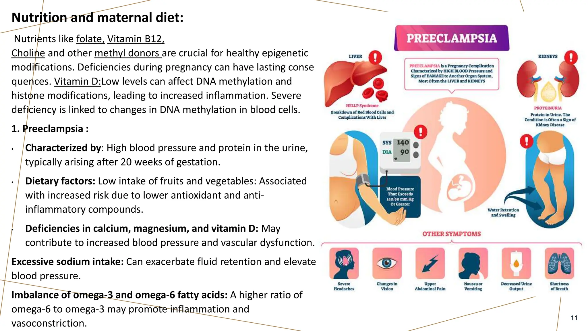 Epigenetics and its effects in pregnancy by Dr. Mohamed Salem | PPTX