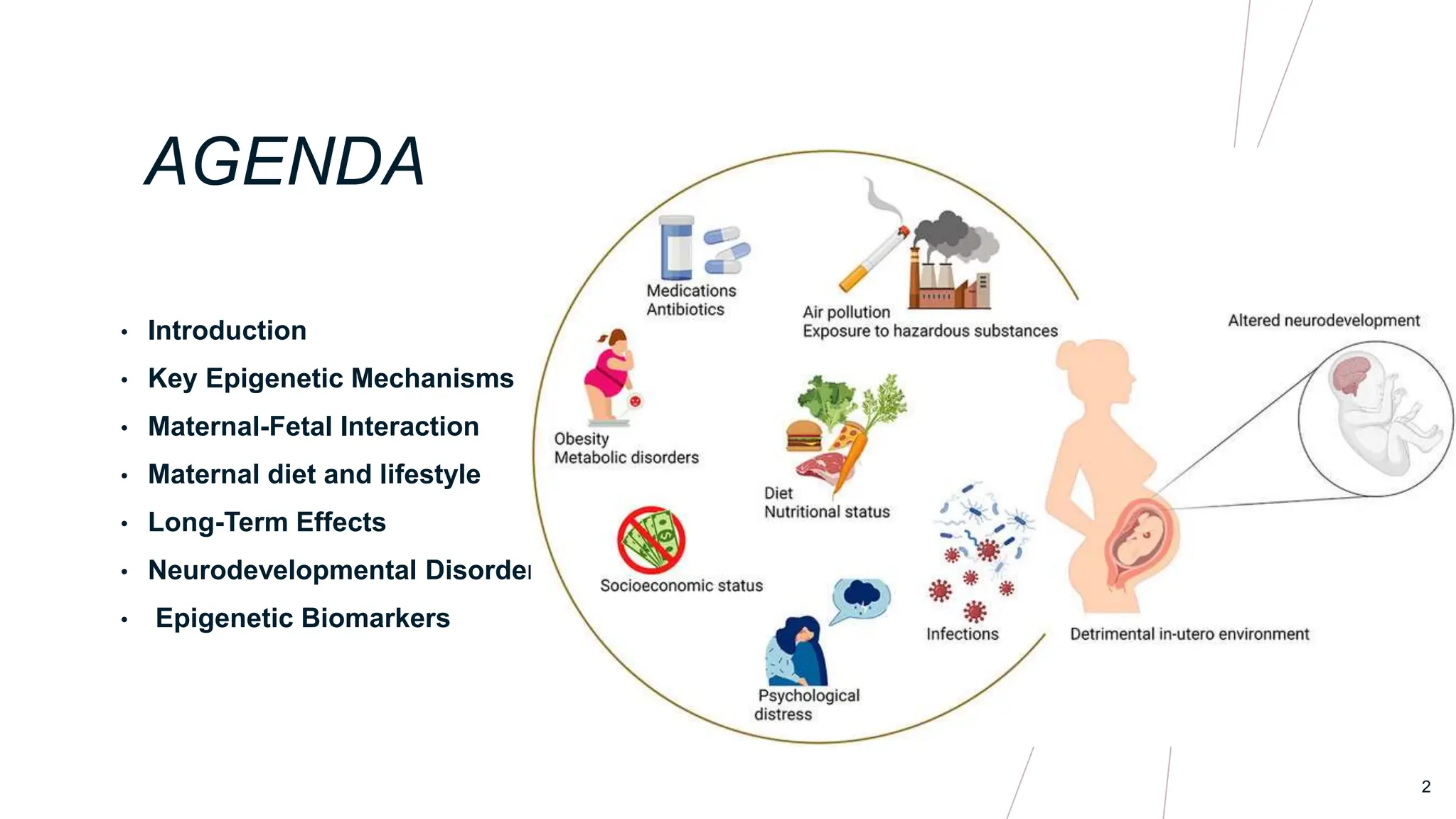 Epigenetics and its effects in pregnancy by Dr. Mohamed Salem | PPTX