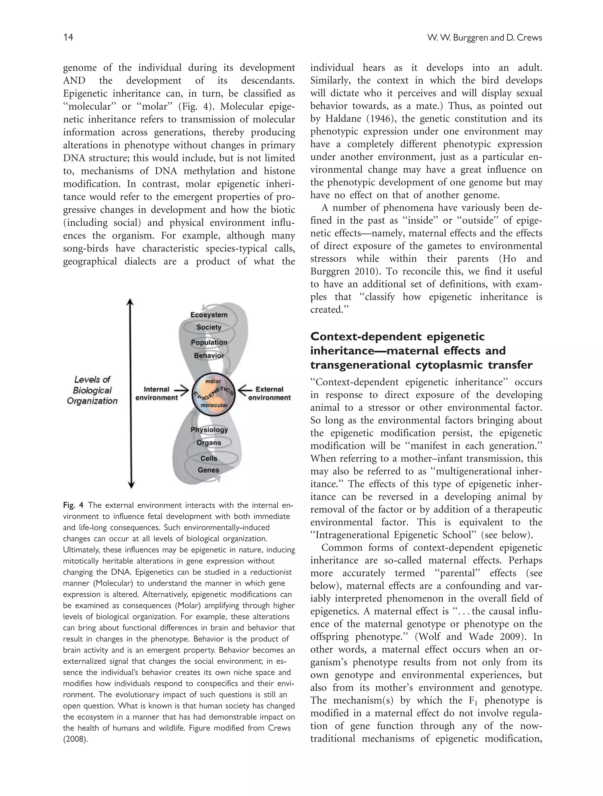 Exploring the evidence for epigenetic regulation of environmental ...