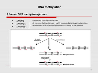 10
DNA methylation
3 human DNA methyltransferases
• DNMT1
• DNMT3A
• DNMT3B
◄daughter strand
◄daughter strand
de novo methyltransferases – highly expressed at embryo implantation
when waves of de novo methylation are occurring in the genome
maintenance methyltransferases
 