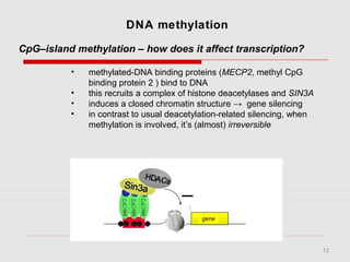 12
DNA methylation
CpG–island methylation – how does it affect transcription?
• methylated-DNA binding proteins (MECP2, methyl CpG
binding protein 2 ) bind to DNA
• this recruits a complex of histone deacetylases and SIN3A
• induces a closed chromatin structure → gene silencing
• in contrast to usual deacetylation-related silencing, when
methylation is involved, it’s (almost) irreversible
gene
 