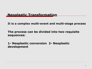 17
Neoplastic Transformation
It is a complex multi-event and multi-stage process
The process can be divided into two requisite
sequences:
1- Neoplastic conversion 2- Neoplastic
development
 