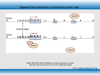 Baylin SB (2005) DNA methylation and gene silencing in cancer
Nat Clin Pract Oncol 2: S4–S11 doi:10.1038/ncponc0354
Figure 2 DNA methylation in normal and cancer cells
Copyright © (2003) Massachusetts Medical Society. All rights reserved. Adapted with permission 2005.
 