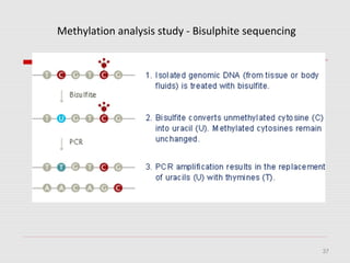 37
Methylation analysis study - Bisulphite sequencing
 