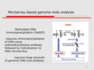 39
Microarray-based genome-wide analysis
Methylated DNA
immunoprecipitation (MeDIP)
-requires immunoprecipitation
of DNA using
antimethylcytosine antibody
followed by hybridization to
DNA microarrays.
- requires large amounts
of genomic DNA and antibody
 