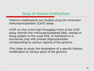 404040
Study of histone modifications
•Histone modifications are studied using the chromatin
immunoprecipitation (ChIP) assay.
•ChIP on chip is the high throughput form of the ChIP
assay wherein the immunoprecipitated DNA, instead of
being subject to the usual PCR, is hybridized to a
microarray chip with printed oligonucleotides
corresponding to various regions of the genome.
•This helps to study the localization of a specific histone
modification to various parts of the genome.
 