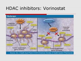 HDAC inhibitors: Vorinostat
 