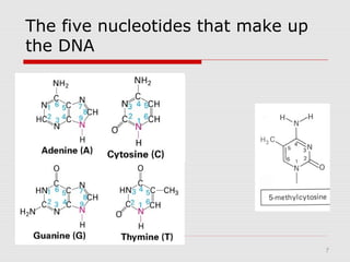 7
The five nucleotides that make up
the DNA
 
