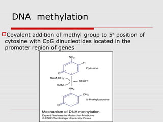 DNA methylation
Covalent addition of methyl group to 5th
position of
cytosine with CpG dinucleotides located in the
promoter region of genes
 