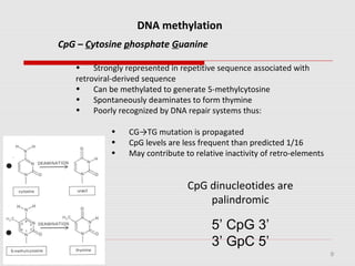 9
DNA methylation
CpG – Cytosine phosphate Guanine
• Strongly represented in repetitive sequence associated with
retroviral-derived sequence
• Can be methylated to generate 5-methylcytosine
• Spontaneously deaminates to form thymine
• Poorly recognized by DNA repair systems thus:
• CG→TG mutation is propagated
• CpG levels are less frequent than predicted 1/16
• May contribute to relative inactivity of retro-elements
CpG dinucleotides are
palindromic
5’ CpG 3’
3’ GpC 5’
 