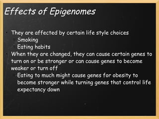 Effects of Epigenomes They are affected by certain life style choices Smoking Eating habits When they are changed, they can cause certain genes to turn on or be stronger or can cause genes to become weaker or turn off Eating to much might cause genes for obesity to become stronger while turning genes that control life expectancy down 