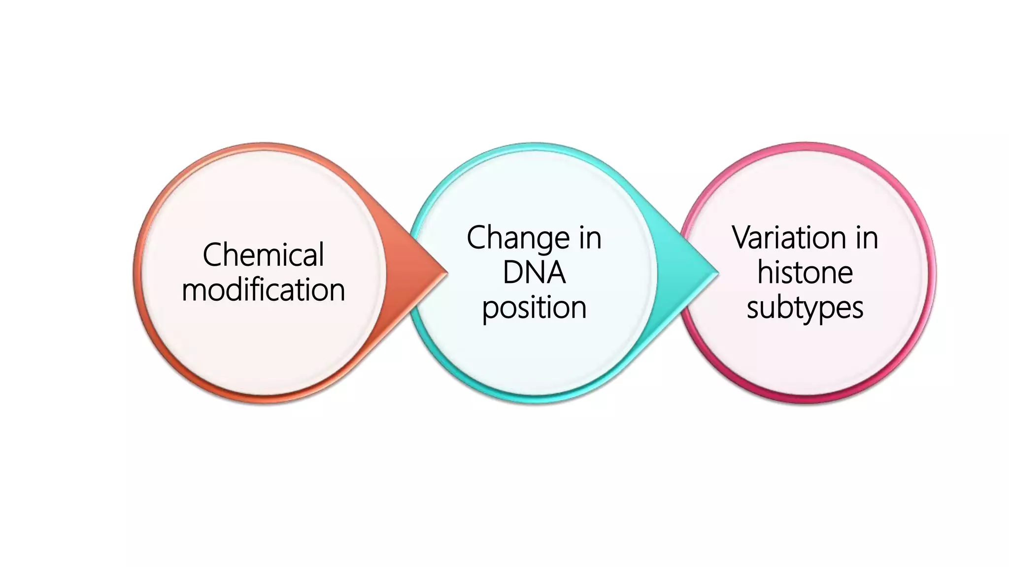 Variation in
histone
subtypes
Change in
DNA
position
Chemical
modification
 