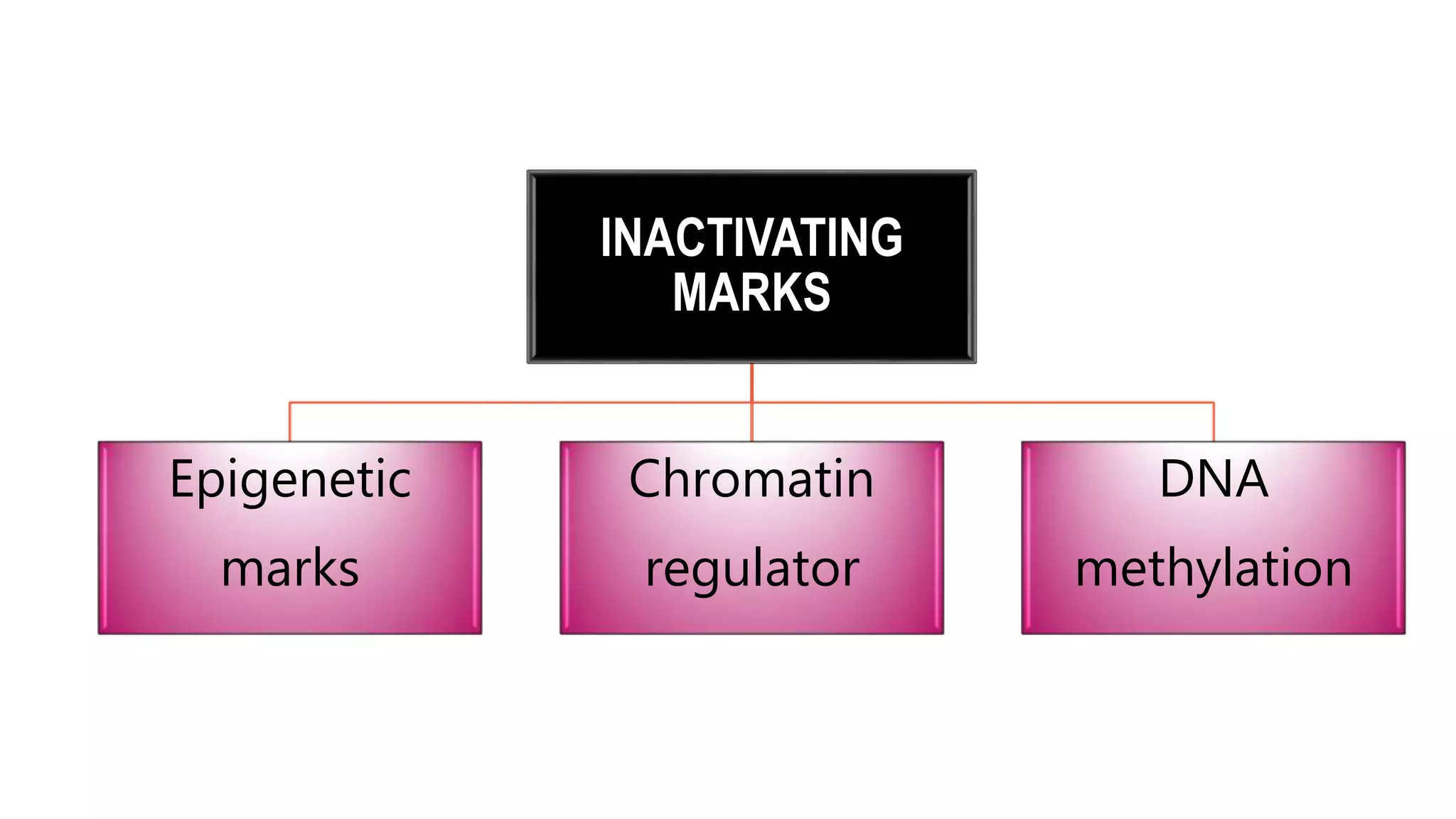 INACTIVATING
MARKS
Epigenetic
marks
Chromatin
regulator
DNA
methylation
 