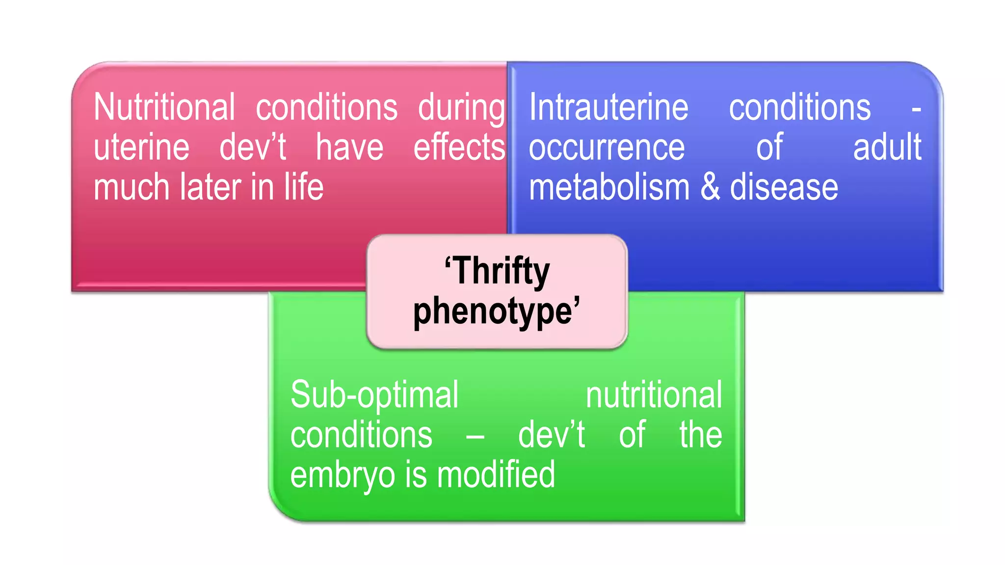 Nutritional conditions during
uterine dev’t have effects
much later in life
Intrauterine conditions -
occurrence of adult
metabolism & disease
Sub-optimal nutritional
conditions – dev’t of the
embryo is modified
‘Thrifty
phenotype’
 