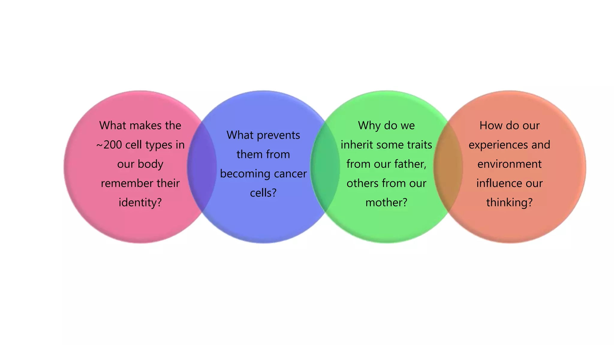 What makes the
~200 cell types in
our body
remember their
identity?
What prevents
them from
becoming cancer
cells?
Why do we
inherit some traits
from our father,
others from our
mother?
How do our
experiences and
environment
influence our
thinking?
 