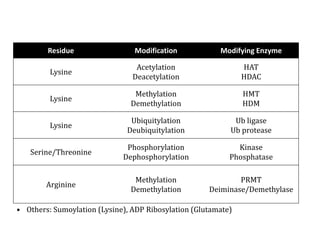 • Others: Sumoylation (Lysine), ADP Ribosylation (Glutamate)
Residue Modification Modifying Enzyme
Lysine
Acetylation
Deacetylation
HAT
HDAC
Lysine
Methylation
Demethylation
HMT
HDM
Lysine
Ubiquitylation
Deubiquitylation
Ub ligase
Ub protease
Serine/Threonine
Phosphorylation
Dephosphorylation
Kinase
Phosphatase
Arginine
Methylation
Demethylation
PRMT
Deiminase/Demethylase
 