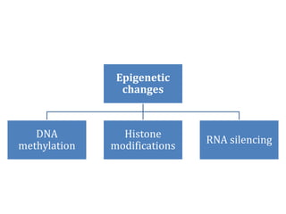 Epigenetic
changes
DNA
methylation
Histone
modifications
RNA silencing
 