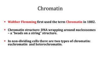 Chromatin
 Walther Flemming first used the term Chromatin in 1882.
 Chromatin structure: DNA wrapping around nucleosomes
– a “beads on a string” structure.
 In non-dividing cells there are two types of chromatin:
euchromatin and heterochromatin.
 