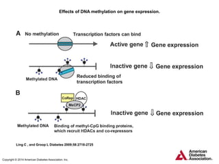 Effects of DNA methylation on gene expression.
Ling C , and Groop L Diabetes 2009;58:2718-2725
Copyright © 2014 American Diabetes Association, Inc.
 