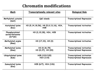 Mark Transcriptionally relevant sites Biological Role
Methylated cytosine
(meC)
CpG islands Transcriptional Repression
Acetylated lysine
(Kac)
H3 (9,14,18,56), H4 (5,8,13,16), H2A,
H2B
Transcriptional Activation
Phosphorylated
serine/threonine
(S/Tph)
H3 (3,10,28), H2A, H2B Transcriptional Activation
Methylated argine
(Rme)
H3 (17,23), H4 (3) Transcriptional Activation
Methylated lysine
(Kme)
H3 (4,36,79)
H3 (9,27), H4 (20)
Transcriptional Activation
Transcriptional Repression
Ubiquitylated lysine
(Kub)
H2B (123/120)
H2A (119)
Transcriptional Activation
Transcriptional Repression
Sumoylated lysine
(Ksu)
H2B (6/7), H2A (126) Transcriptional Repression
Chromatin modifications
 
