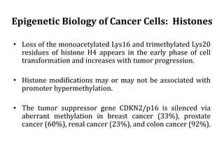 Epigenetic Biology of Cancer Cells: Histones
• Loss of the monoacetylated Lys16 and trimethylated Lys20
residues of histone H4 appears in the early phase of cell
transformation and increases with tumor progression.
• Histone modifications may or may not be associated with
promoter hypermethylation.
• The tumor suppressor gene CDKN2/p16 is silenced via
aberrant methylation in breast cancer (33%), prostate
cancer (60%), renal cancer (23%), and colon cancer (92%).
 